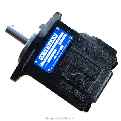 Double Oil Pump Viking Vane Pump VT6C Series