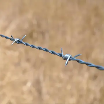 Anti-climbing and Anti-rust Galvanized Barbed Wire