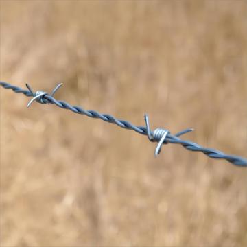 Galvanized 4-Point Barbed Wire