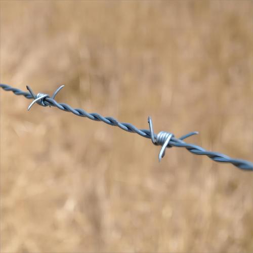 Galvanized 4-Point Barbed Wire