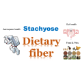 Diério natural Stachyose para saúde intestinal