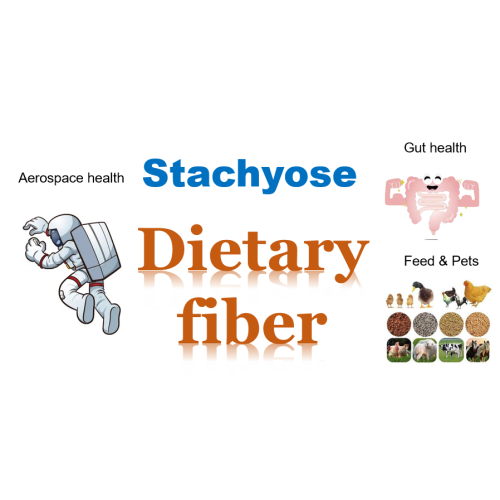 Indigestible Oligosaccharides Natural diatery stachyose for gut health Factory