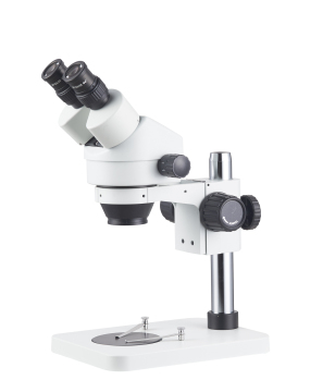 Biological and Dental Microscopes: Enhancing Precision in Medical Examination