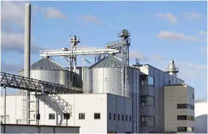 Water Soluble Pueraria Lobata Extract Pueraria Extract