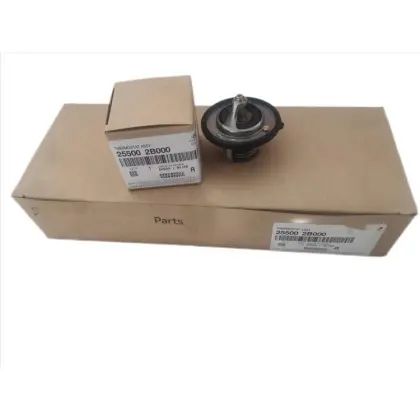 Good Quality Smart Temperature Controller Thermostat 255002B000