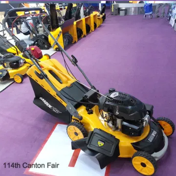 20" lawn mower with battery start, 4 in 1