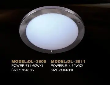 Decorative metal ceiling light fixtures