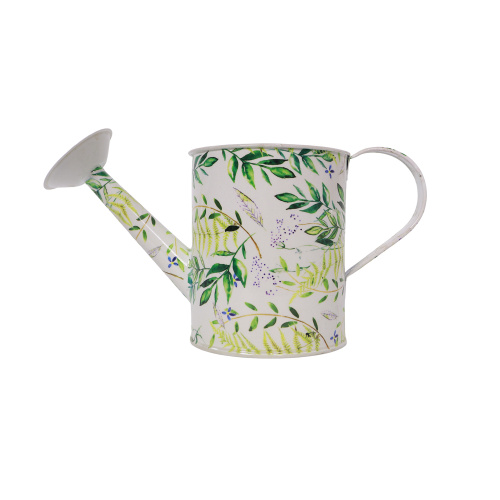 Metal Watering Can W7101PH