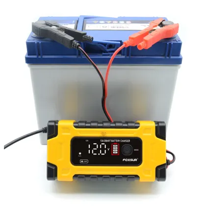 Japan Car Battery Charger 6V 12V AGM Battery Charger