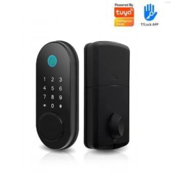 S110DBL-F Smart Lock