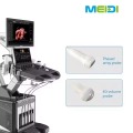 3D/4D Adjustable Color Ultrasonic Diagnostic Apparatus