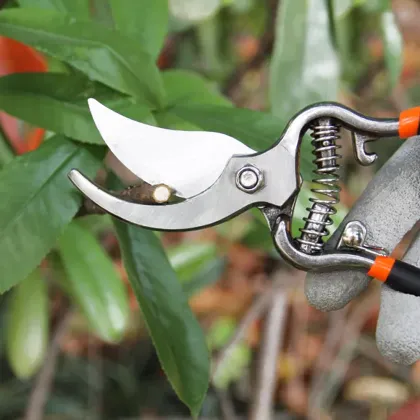 Harden Small Order Professional Garden Pruners 65Mn Manual Shears