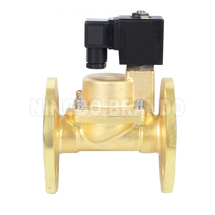 Brass Steam Solenoid Valve (3)