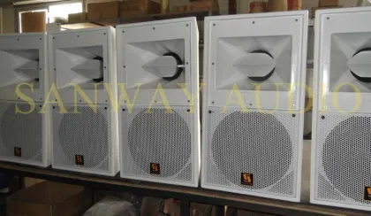 Pa Speaker Church Audio Video Equipment / Single 12'' Audio Cabinet