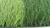 high detex football artificial grass