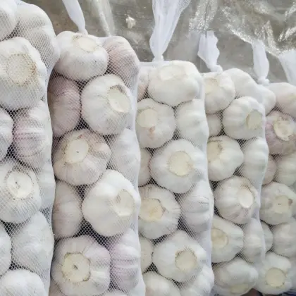 Snow white garlic from jin xiang