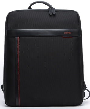 Fashion Leisure High Quality Nylon Leather Laptop Backpack (114-10806)