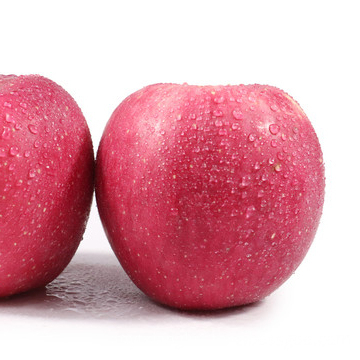 food grade fresh apple fruit qinguan apples red apples