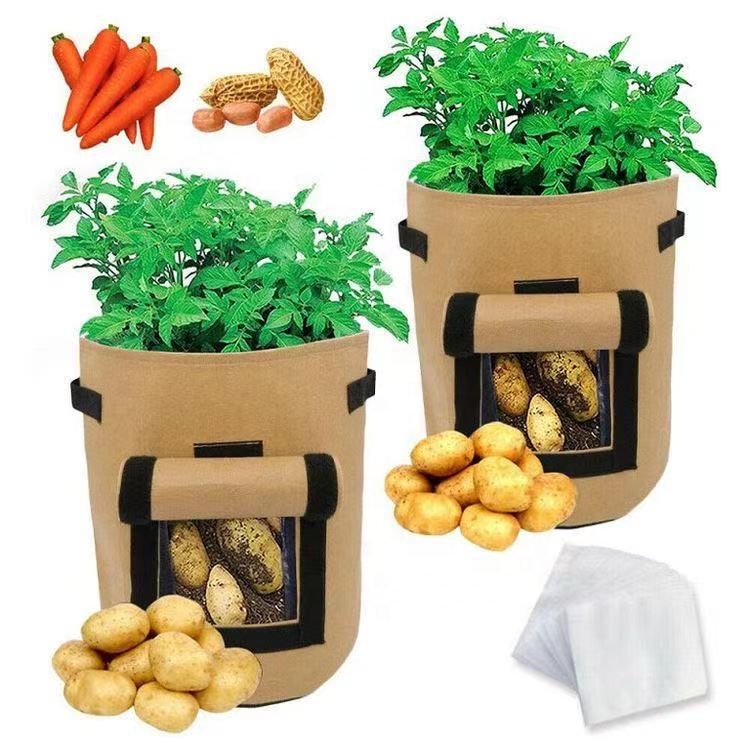 Potato Grow Bag with windows