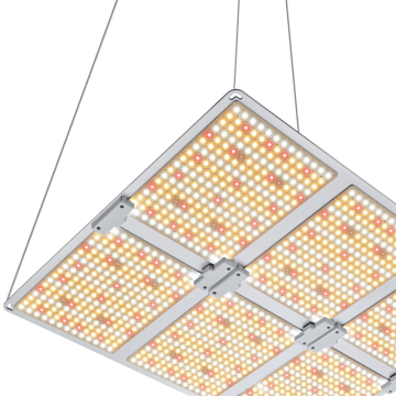 Vollspektrum-Wachstum von Pflanzen Großhandel LED Wachsen Licht