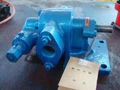 Tcb18.3 Gasoline Gear Pump
