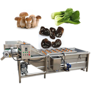 Commercial Mushroom and Vegetable Fruit Washing Machine - Kelp Cleaning Bubble Washer