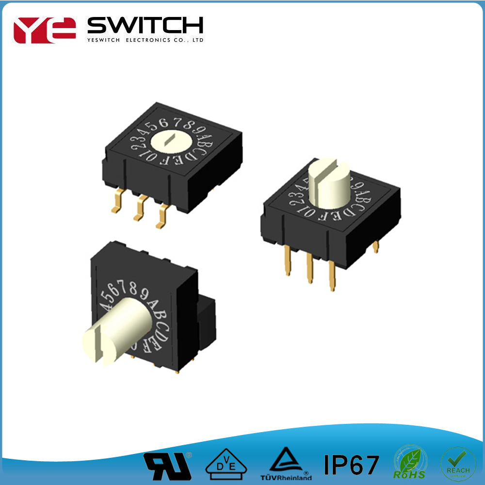 10 positons Rotary Coded Switch