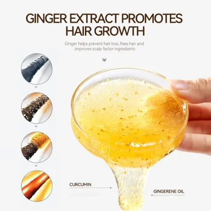 Factory Wholesale Organic Ginger Shampoo for Hair Loss and Regrowth