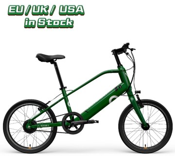 Green Electric Bicycle Hub Motor