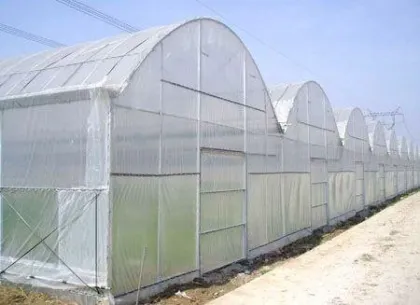 HPO greenhouse film/greenhouse film/ agriculture greenhouse 3 layer film/different specification/function film