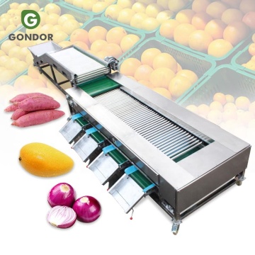 Buah Elektronik dan Sayuran Menyortir Washer dan Mesin Waxing untuk Jalur Produksi
