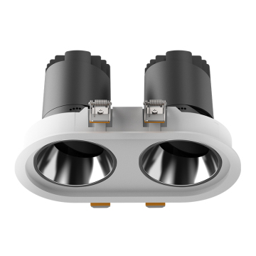 Factory Wholesale Adjustable Double Head 2700K-6500K Hotel LED Downlight