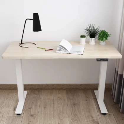 Standing Desk Electric ErgonomicOffice Computer Desk Adjustable Modern Desk
