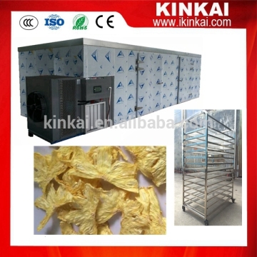 China industrial Pineapple heat pump dryer