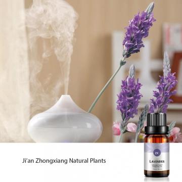 2020 Hot Certified Organic Lavender Essential Oil