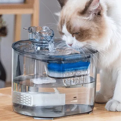 High-Tech Pet Water Dispenser for Pets