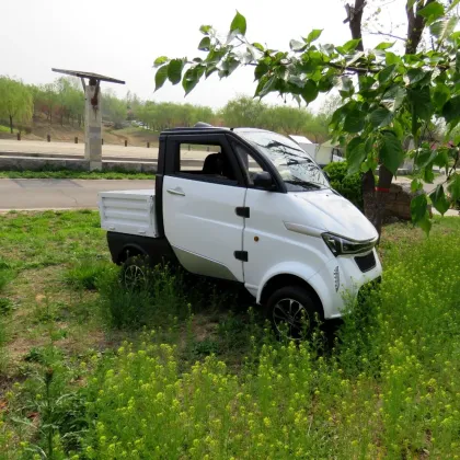 Battery Power Special New Energy Van Truck