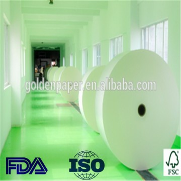 Jumbo roll single/Double side PE coated paper cup blank