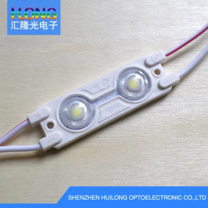 DC12V LED Lighting Chips 0.5W CE/RoHS LED Modules