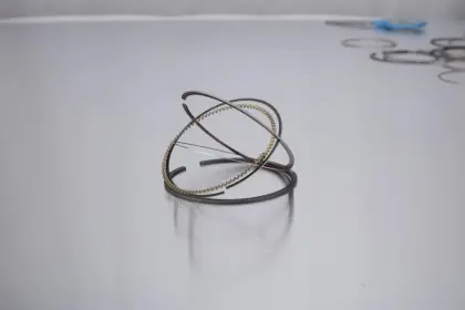 Engine Piston Ring for C20 NE 011 58 N0