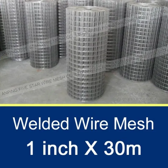 10mm/0.8mm Welded Wire Mesh for Wall Materials