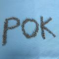 POK Granules Polyketone glass fiber reinforced