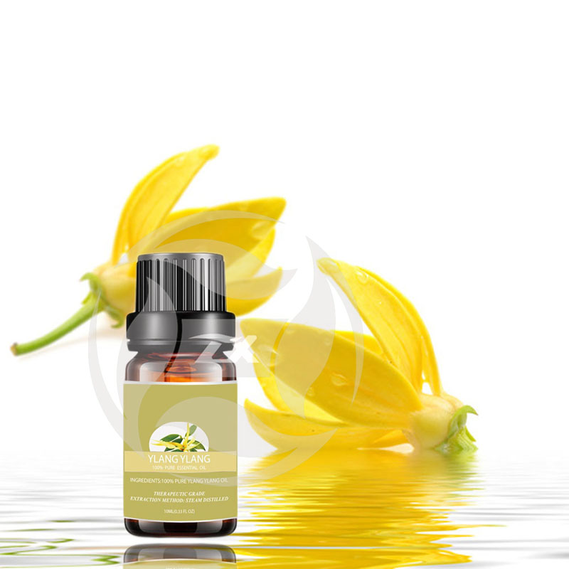 Aceite esencial de alta calidad Ylang para el cuidado del cabello.