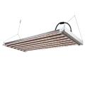 Erzeuger Choice Indoor Plant LED Wachsen leichte Bar