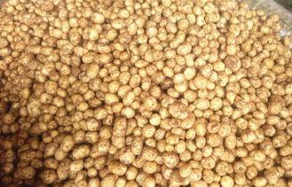 Fresh Vegetable Long Organic Potatoes Contains Vitamins And