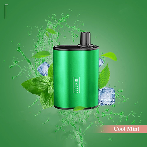 Pousse de vape à menthe cool jetable en gros 15 ml