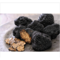 Bioactive Tuber Melanosporum Vittad Extract for Farming Use
