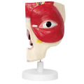 /msite/products/detail/productid/63665717/id/1517769.html