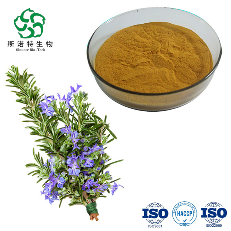 Tope Selling Rosemary Extract Rosmarinic Acid