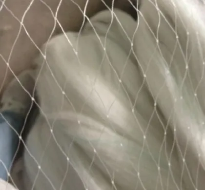 Nylon Anti-bird Nets